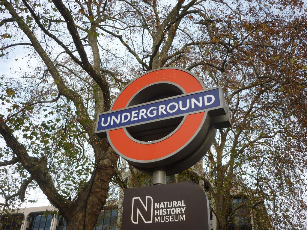 2011_12_London (59).JPG